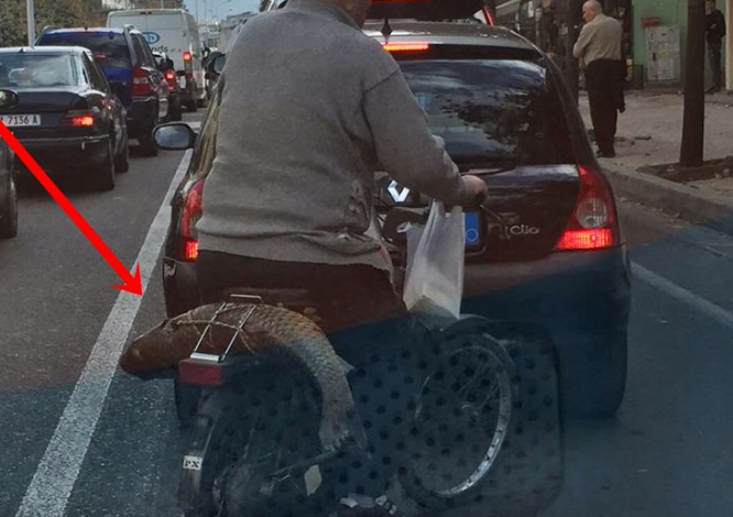 MARRIN FUND DYSHIMET! Kapet “PESHKU I MADH” në Tiranë! (FOTO)