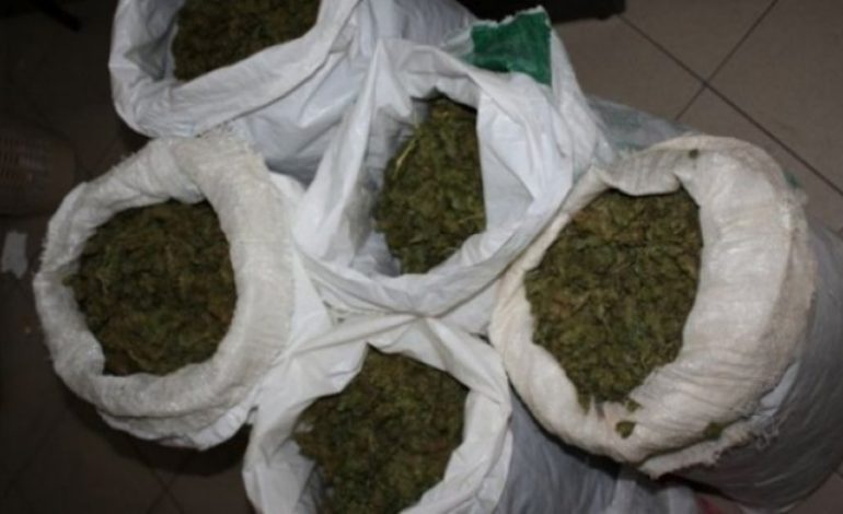 DROGË ME THASË NË MAQEDONI/ Kapet grupi i trafikantëve shqiptarë