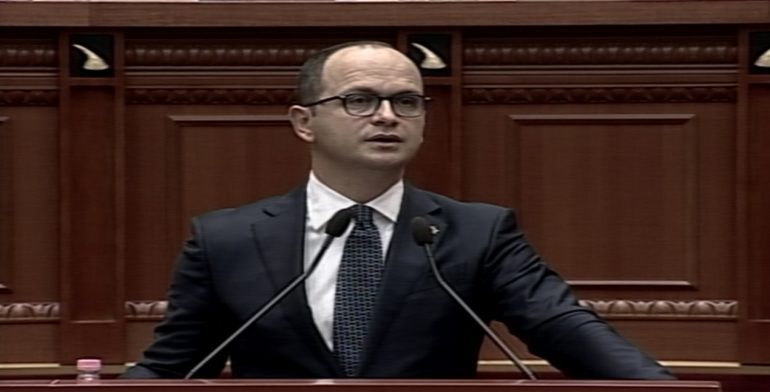 KUVENDI/ Bushati: Linjë transporti përmes liqenit Zogaj-Mali i Zi