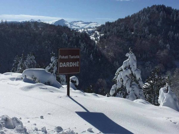 “TROKET DIMRI”/ Dardha në Korçë “MBULOHET” nga bora
