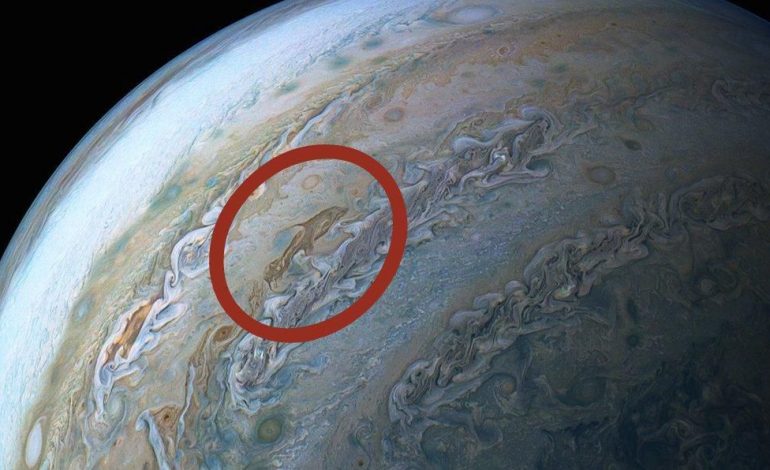 E PABESUESHME/ Zbulohet “delfini” në planetin Jupiter
