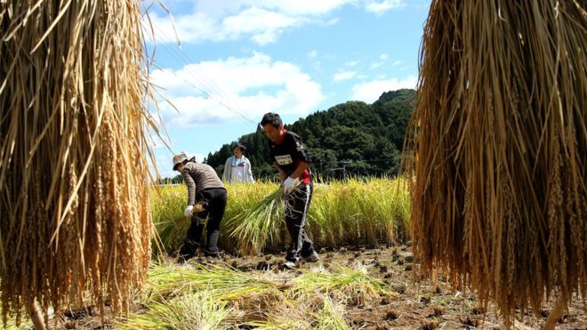 JAPONIA LEHTËSON PROÇEDURAT PËR TË HUAJT/ Miratohet projektligji i ri
