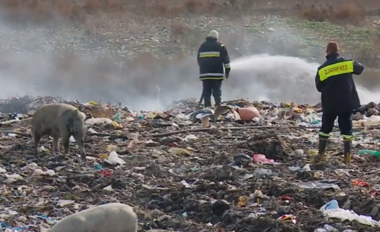 URDHRI I SANDËR LLESHIT/ Shuhen zjarret në Porto Romano brenda 24 orëve