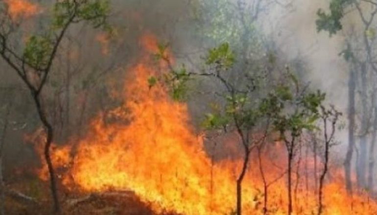 E FUNDIT/ Zjarr i madh në Bulqizë. Dyshohet për…