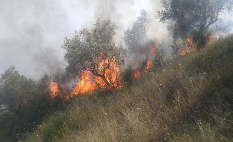 ZJARRI NË PRRENJAS/ Ushtria nga toka dhe ajri për shuarjen
