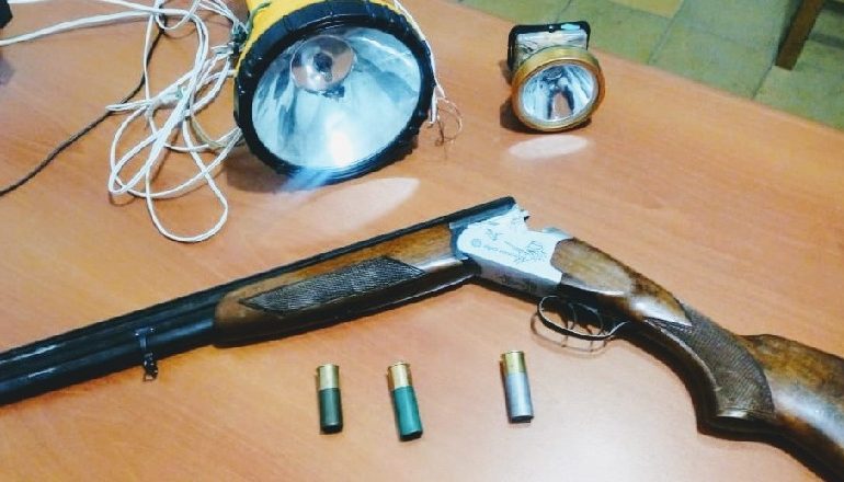 U KAP ME ARMË GJAHU PA LEJE/ Fishekë dhe prozhektorë, pranga 28-vjeçarit nga Librazhdi