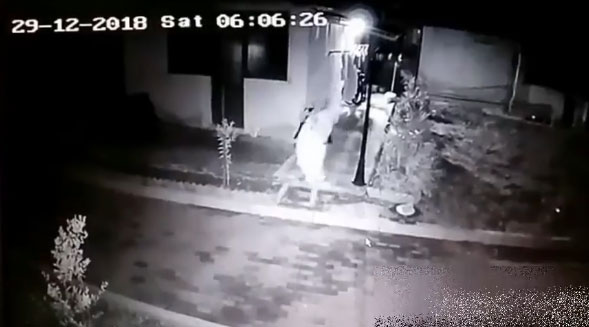 “NUK HYRI NGA OXHAKU”/ Banori nxjerr videon e hajdutit: Erdhi Babagjyshi, këtë radhë më mori nga teli …