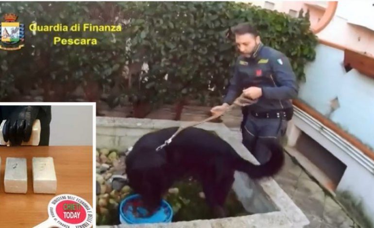 MBOLLËN 2 KG HEROINË NË VRESHTA/ Dy vëllezërit shqiptarët fshehën drogën nën… (VIDEO)