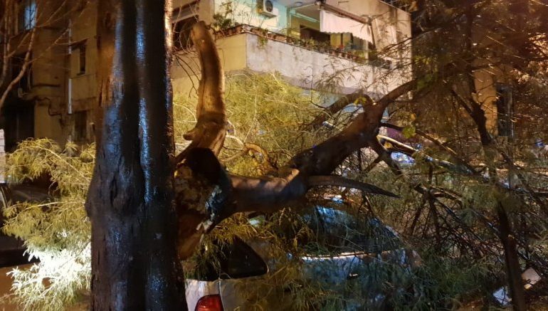 “STUHIA” NË TIRANË/ Shkëputet pema, bie mbi një automjet të parkuar (PAMJET)