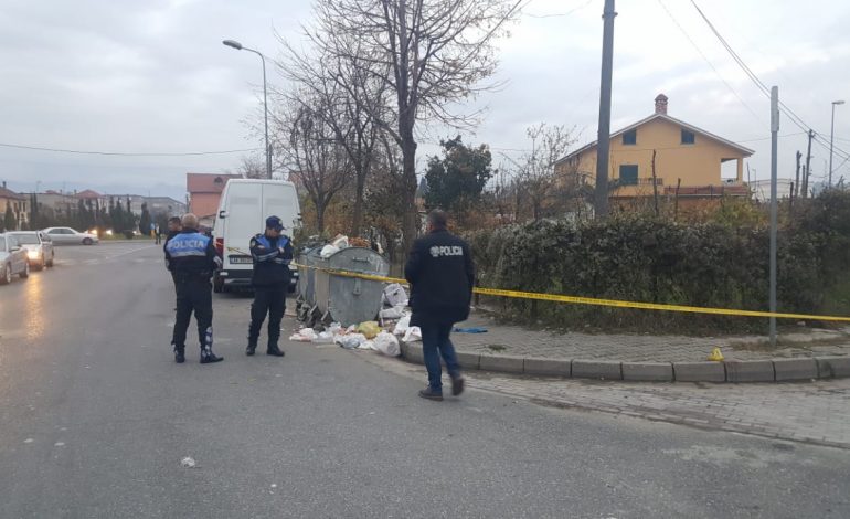 PLAGOSJA ME THIKË NË SHKODËR/ Detajet: 20 vjeçari u GODIT katër herë nga… (EMRAT)