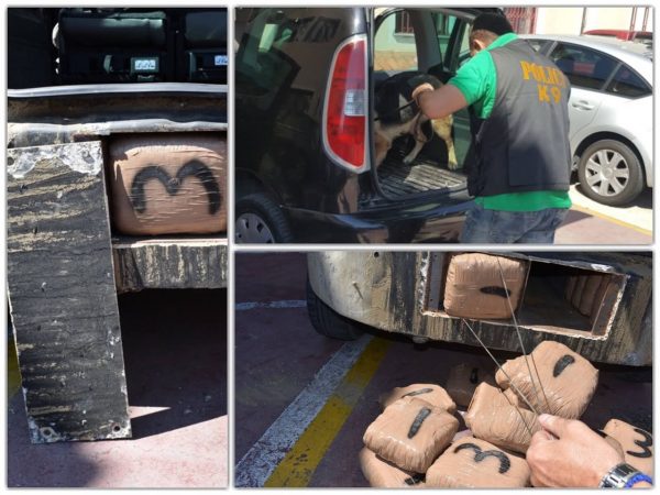 E FUNDIT/ Mediat italiane: Kapen 1500 kilogram marijuanë, pranga dy persona. Dyshime se…