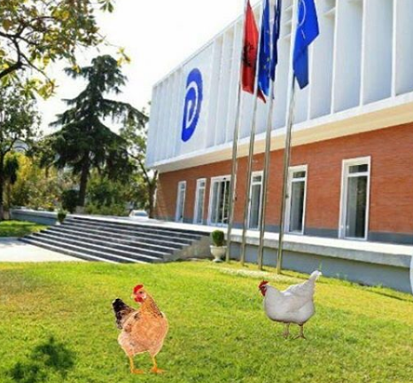FOTO-LAJM/ Rama ironizon opozitën: Njihuni me prodhuesit e armëve…