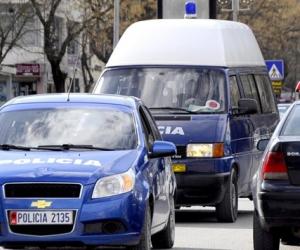 “TREGTONTE MISH E BULMET PA…” Në pranga dhe gjobë pronarit. Kishte…