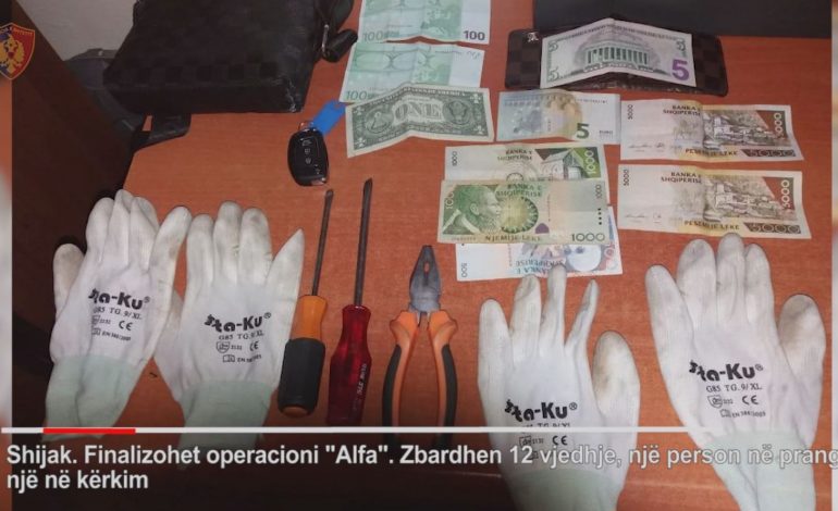 KAPEN “SKIFTERËT” E TMERRSHËM/ Vetëm dje vodhën 6 banesa në Shijak (VIDEO)