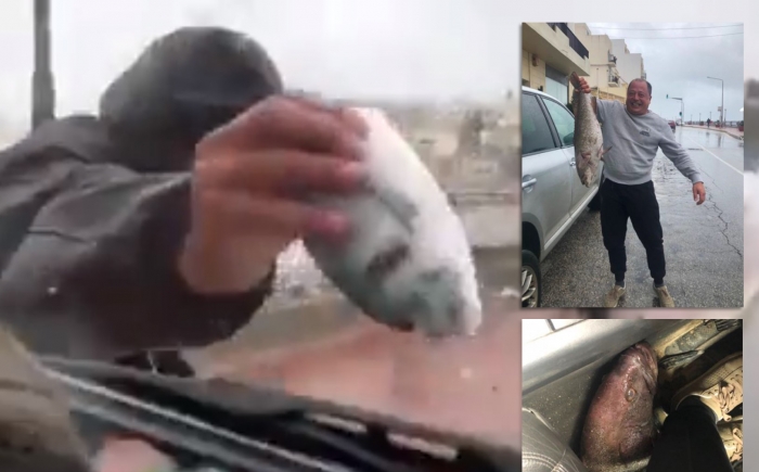 STUHIA MBUSH RRUGËT ME PESHQ/ Banorët mbushin çantat (VIDEO)
