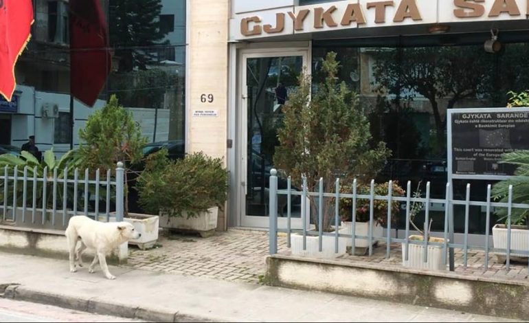 TË GJITHË ME “HALLE” NË SARANDË/ Edhe qentë i drejtohen… Gjykatës (FOTO)