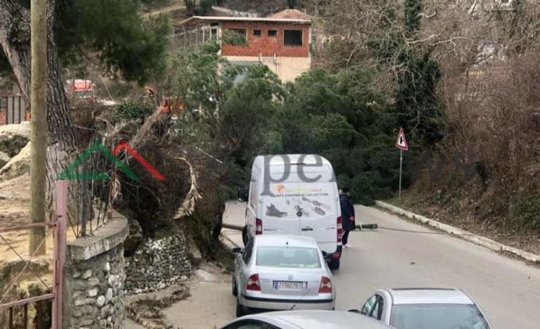 “BIE PEMA NË MES TË RRUGËS”/ Bllokohet qarkullimi në aksin rrugor TIRANË-ELBASAN (FOTO)