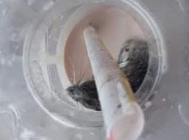 MIU NË PIJE/ 43-vjeçari KËRKON 100 mijë dollarë nga fast food-i (FOTO)