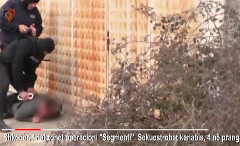 E FUNDIT/ Tentuan të trafikonin 100 kg marjuanë, Policia arreston 4 persona (EMRAT)