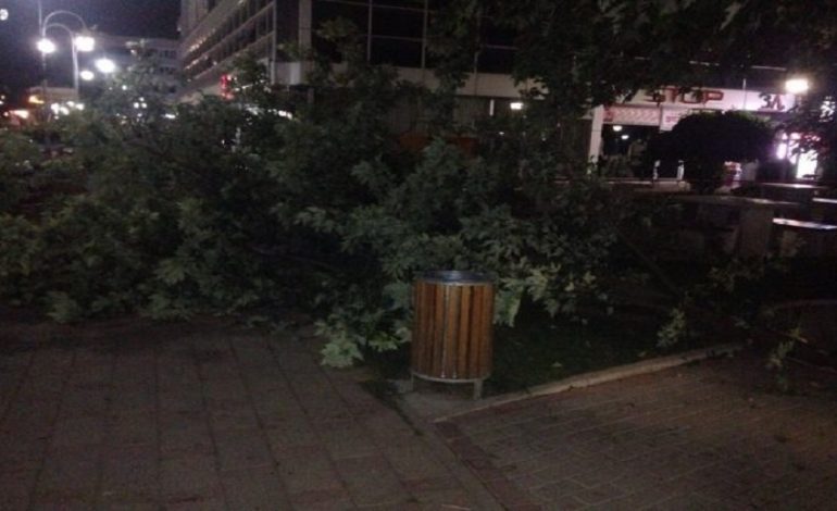 PËRKEQËSIMI I MOTIT/ Era e fortë rrëzon dy pisha në Krujë, bllokohet rruga