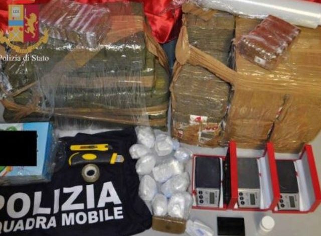 KAPEN ME KOKAINË DHE HASHASH/ Qeni anti-drogë nxjerr zbuluar tre shqiptarë në Itali (FOTO+VIDEO)