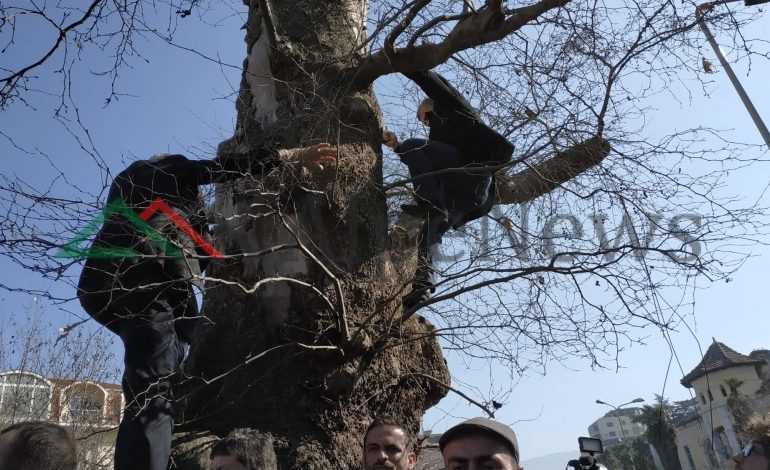 ÇFARË NUK U PA NGA PROTESTA TE PARLAMENTI/ Protestuesit si “spidermena” dhe… (FOTO+VIDEO)