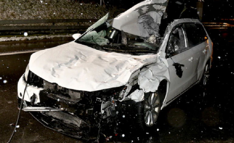 AKSDENTI FATAL/ Makina përplaset me kuaj në autostradë, humb jetën shqiptari në Zvicër (EMRI)