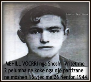 DOSSIER/ Dëshmia: Mhill Vocrri, 16-vjeçari që u vra mizorisht nga komunistët