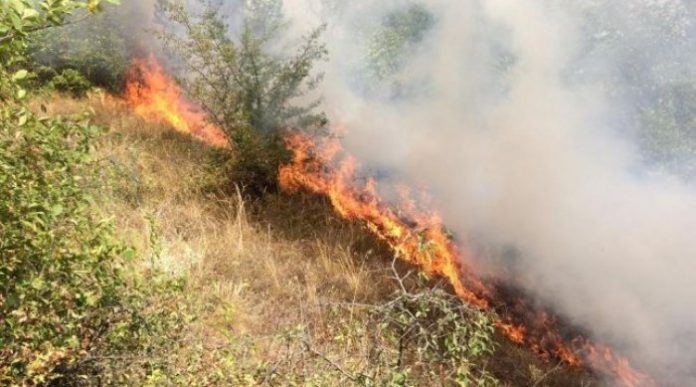 ZJARR NË FUSHË-KRUJË/ Terreni i vështirë pengon ndërhyrjen e zjarrfikëses