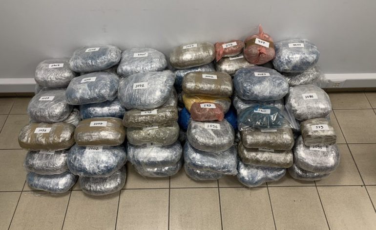 DROGA E PAKETUAR ME THASË/ Policia greke arreston 4 shqiptarë, u kapën me 70 kg kanabis