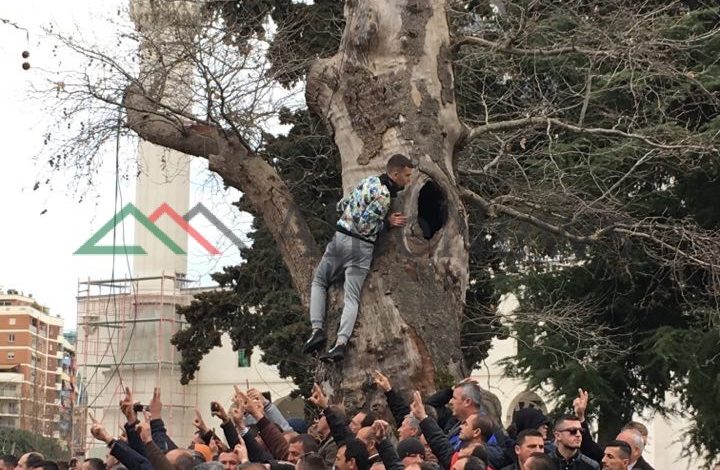 “PHOTO OF THE DAY”/ Disa me DY gishta lart, disa në majë të PEMËS. Ja simbolika e PROTESTËS