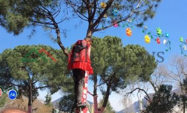"FLUTURON, FLUTURON"/ Opozita proteston, i riu me flamur ngjitet në pemë për të parë...