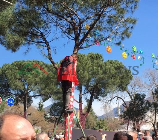 “FLUTURON, FLUTURON”/ Opozita proteston, i riu me flamur ngjitet në pemë për të parë…