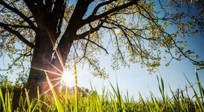 PARASHIKIMI I MOTIT/ E enjte, 21 mars: Vijon rritja e temperaturave dhe…