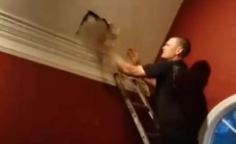 KISHTE NGECUR NË ÇATI/ Si u shpëtua qenushi Bella, me sharrë elektrike… (VIDEO)