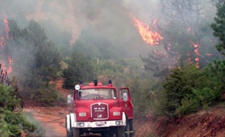 ZJARRET NGA LUSHNJA NË MALLAKASTËR/ Identifikohen 3 autorët, dyshohet…