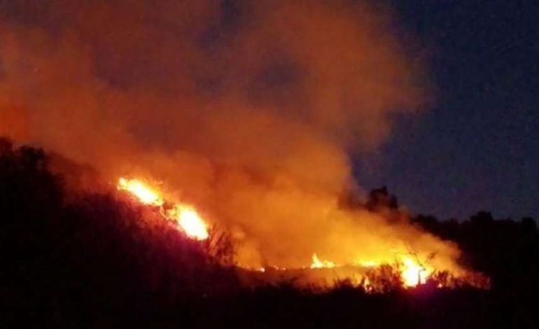 ZJARR MASIV NË VLORË/ Rrezikohen dy banesa. Dyshohet se… (VIDEO)
