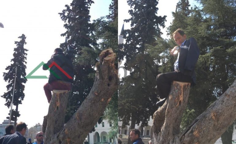 FOTOLAJM/ Ja mënyra origjinale se si “protestojnë” militantët. Këmbëkryq dhe mbi pemë