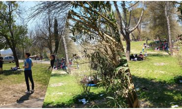 "TIRANA ZBARKON NË PEZË...."/ Mijëra qytetarë i gëzohen pranverës në parkun e fshatit piktoresk (FOTO+VIDEO)
