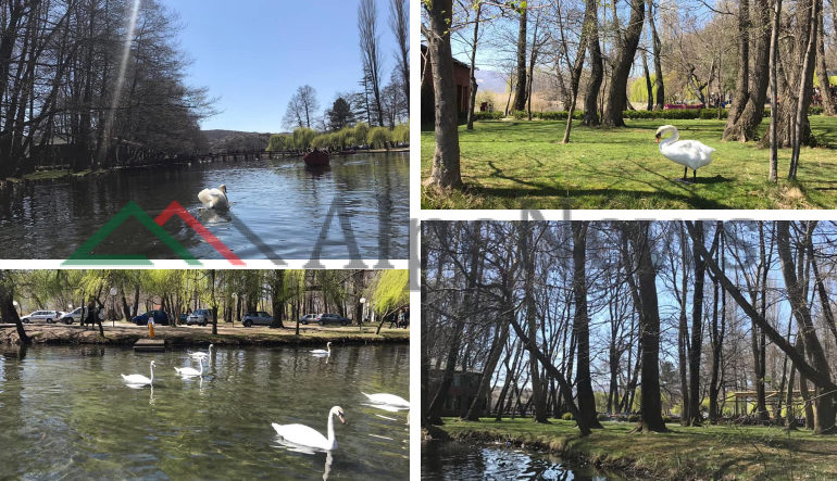 FUNDJAVA NË POGRADEC/ Mjelma, qetësi e relaks. Si duket Driloni nën “magjinë” e pranverës (FOTOT)