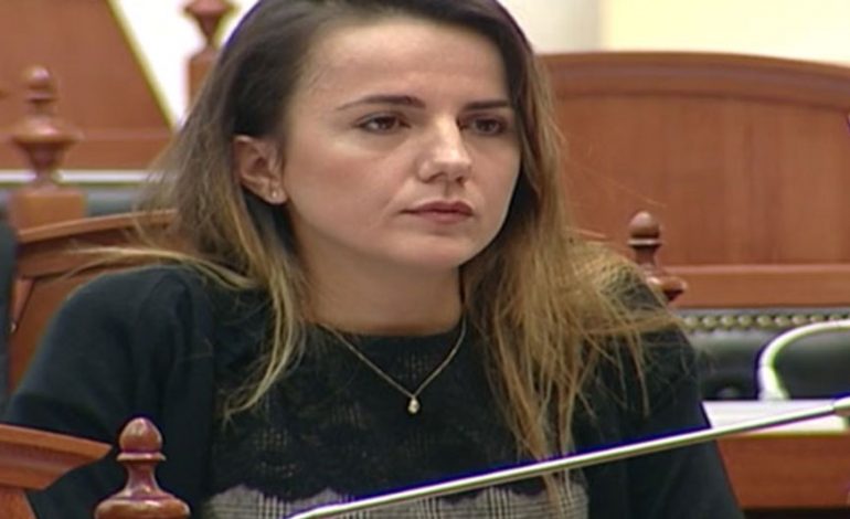 “REBELJA E PD-s”/ Rudina Hajdari: Unë dhe vëllai im luftojmë për të njëjtin qëllim, ardhjen e…