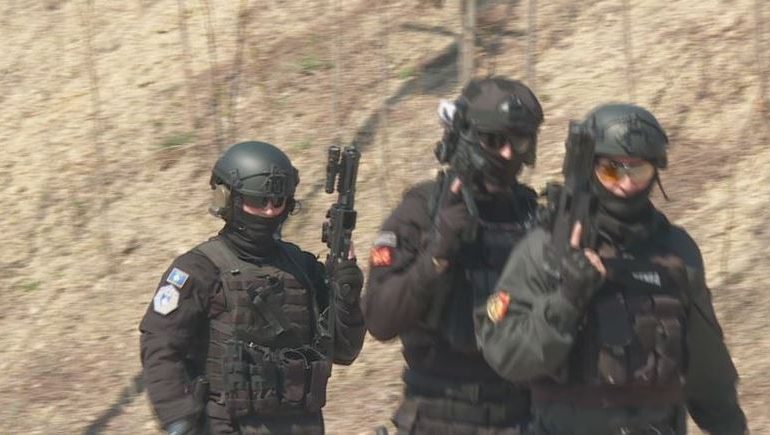 BASHKËPUNIMI/ Maqedonia e Veriut, Kosova e Shqipëria, stërvitje të përbashkët policore