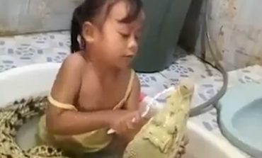 VIDEOJA QË TRONDITI BOTËN/ Vogëlushja lan dhëmbët e krokodilit pa iu "dredhur qerpiku"