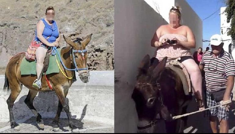 PËRDOREN SI “TAKSI” NË ISHULL/ Greqia u thotë “JO” turistëve mbipeshë mbi gomarët në Santorini