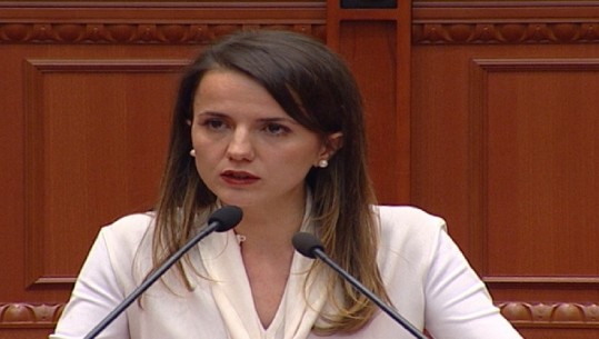 KUVEND/ Hajdari: Holanda mund të pengojë negociatat, gati për reformën zgjedhore