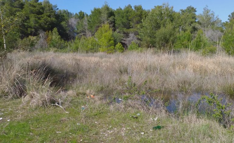 U GJET I VDEKUR NË ZVËRNEC/ Ja kush është 56-vjeçari, kishte probleme… (FOTOT)