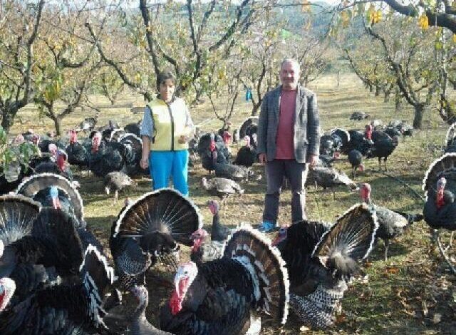 VRAU GRUAN/ Pasi i kërkoi FALJE fëmijëve ja çfarë vendosi Prokuroria për Sami Metushin