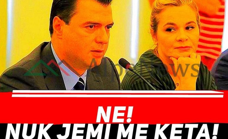 PAS PROTESTËS/ Zhgënjehen mbështetësit e PD dhe LSI, ja FOTO që po qarkullon në rrjet