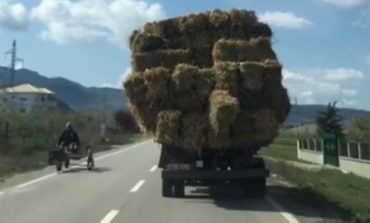 NDODH EDHE KJO/ Turisti sheh kamionçinën me kashtë në rrugët e Korçës. "Alarmon" policinë... (VIDEO)