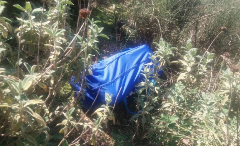 PO TRANSPORTONIN 22 KILOGRAM KANABIS/ Arrestohen dy të rinjtë, shpallen në kërkim…